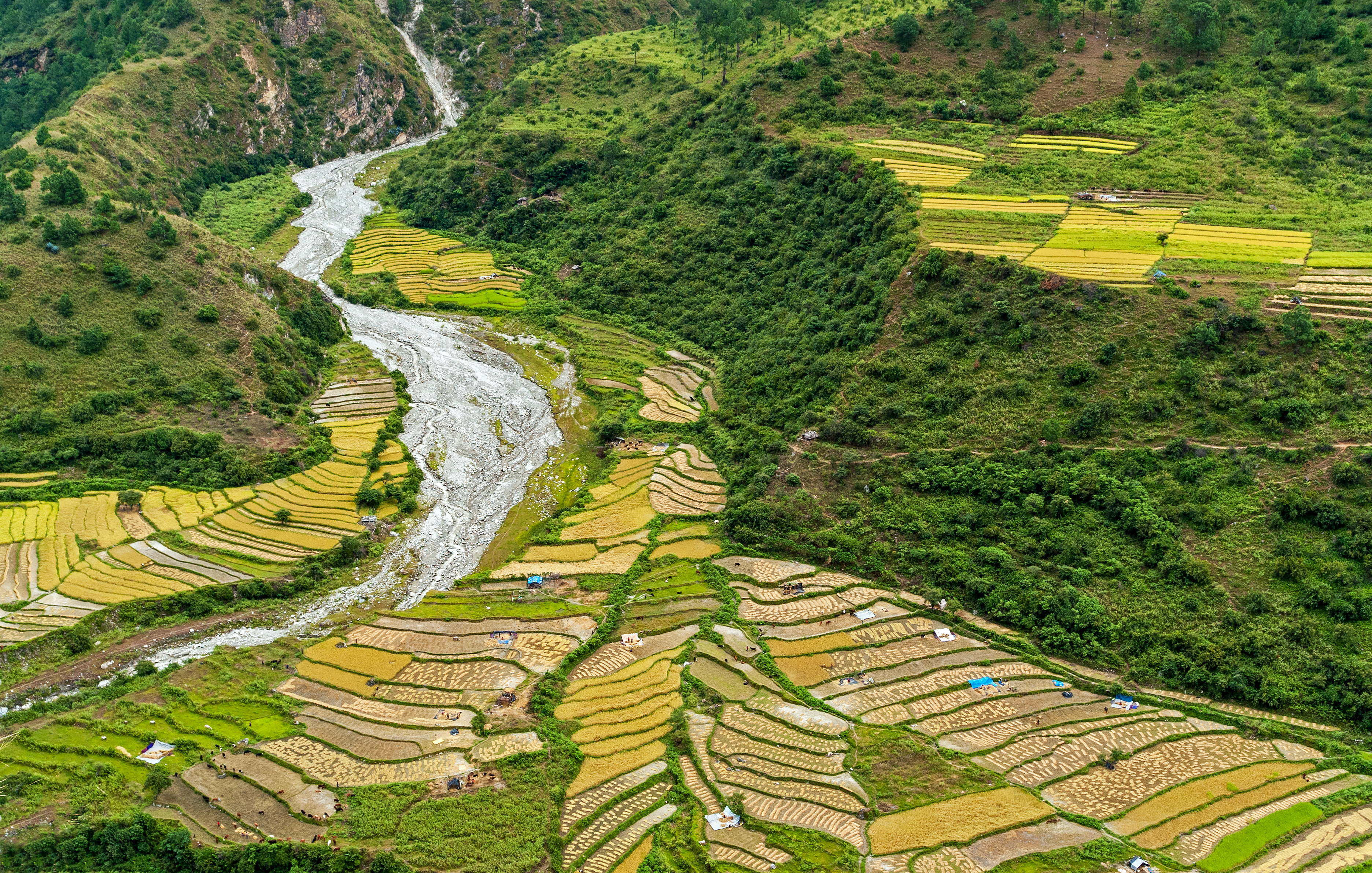 Bhutan Agriculture Climate